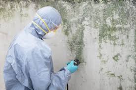 Best Environmental Consulting for Mold Prevention  in Crewe, VA